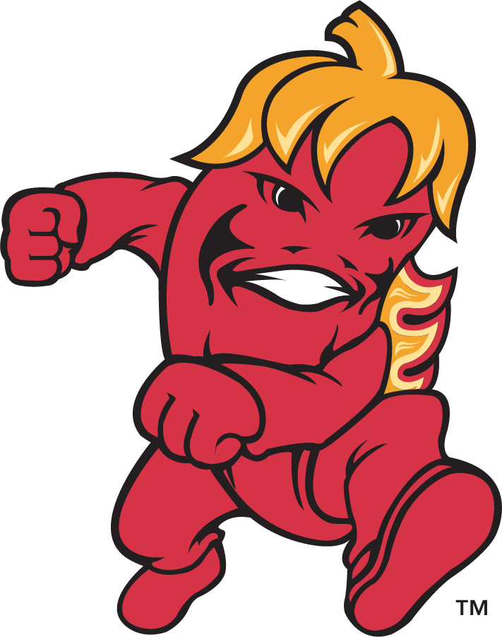 Louisiana Ragin Cajuns 2000-2006 Mascot Logo v8 diy iron on heat transfer